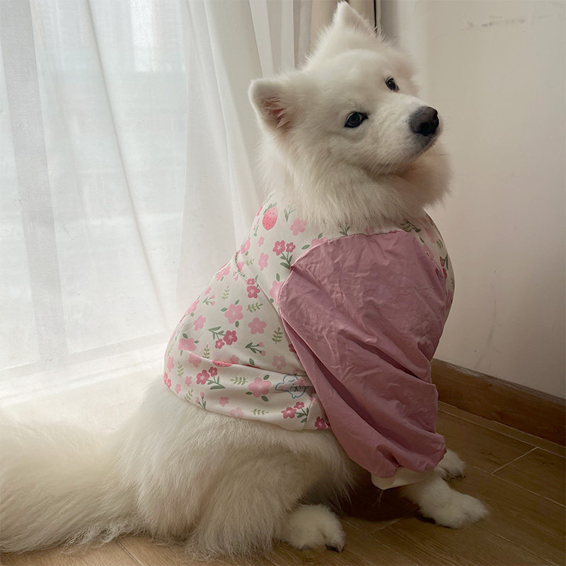 宠物衣服新款狗狗护肘衣服萨摩耶拉布拉宠物护膝防磨外出中大型犬,宠物/宠物食品及用品,狗宠物服装/雨衣,淘宝优惠券,粉丝福利购,淘宝优惠卷