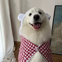 Красный цветной плащ