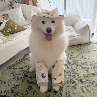 2025新款狗狗护肘中大型犬萨摩耶金毛阿拉斯加外出保护护膝