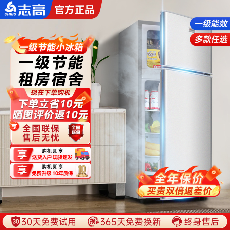 志高一级节能小冰箱小家用小型办公室出租房宿舍省电二人冰箱