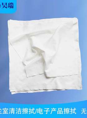产地货源16404百级无尘布 厂家直供擦拭不留尘清洁布无菌防静电