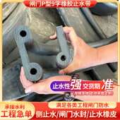 水利闸门P型橡胶止水带lp止水橡皮双p型橡胶带水封钢闸板止水胶条