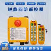 10D12D南京锐鼎四防工业无线行车行吊天车起重机遥控器 10S