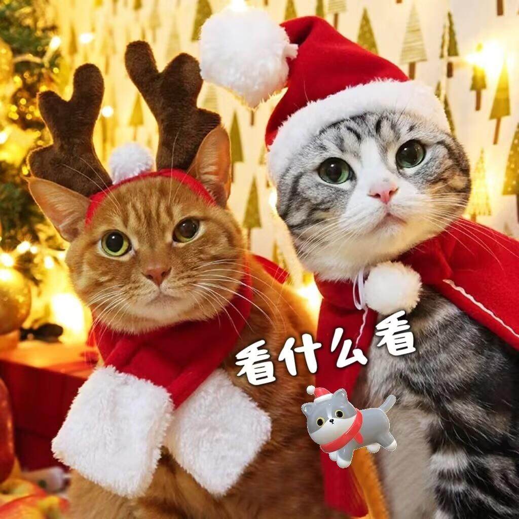 圣诞节宠物用品帽子围巾披风可爱装饰装扮新年衣服猫咪小狗变身装