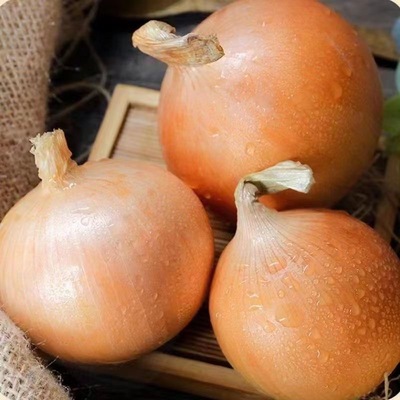 山东黄皮洋葱新鲜3/5/9斤