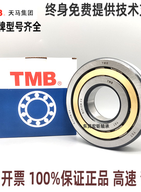 天马TMB圆柱高速轴承NJ/NU405 406 407 408 409 410 41112ECM/C34