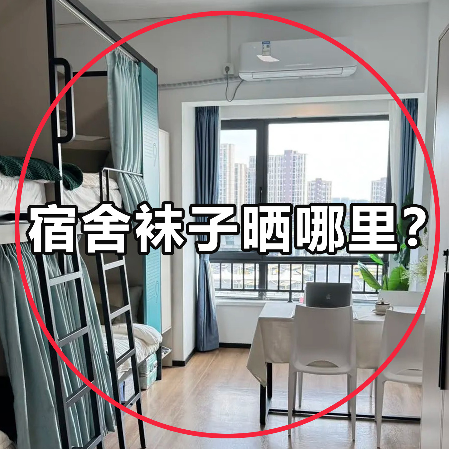 当天速发吸盘袜子晾晒架可旋转