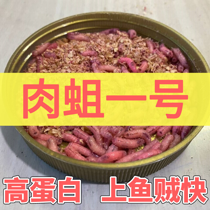 包邮活体蛆虫白蛆活饵蛆牙子活蛆鲜活肉蛆鲫鱼鲤鱼玉米虫昆虫鱼饵
