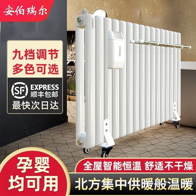 安伯瑞尔家用注水加水电暖气片加