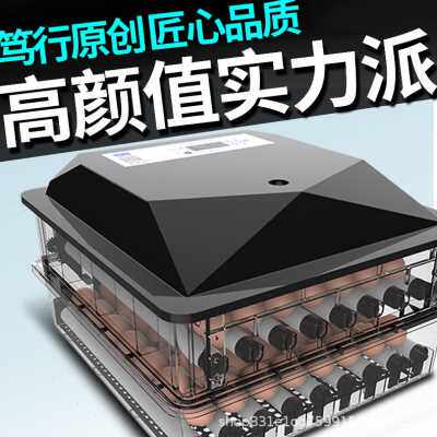 爆品新品156枚小型全自动孵化器家用型孵化机鸡鸭鹅孵蛋机家禽u.
