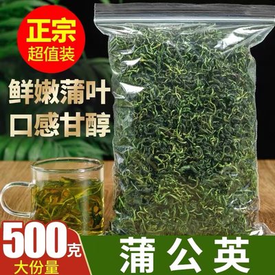 正品蒲公英茶天然婆婆丁野生带根长白山蒲公英干新鲜500g散装乳腺