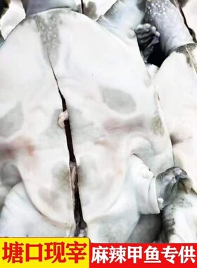 麻辣甲鱼苗老鳖生鲜宰杀代杀57869两1斤批卤味鲜活食用发水产包邮