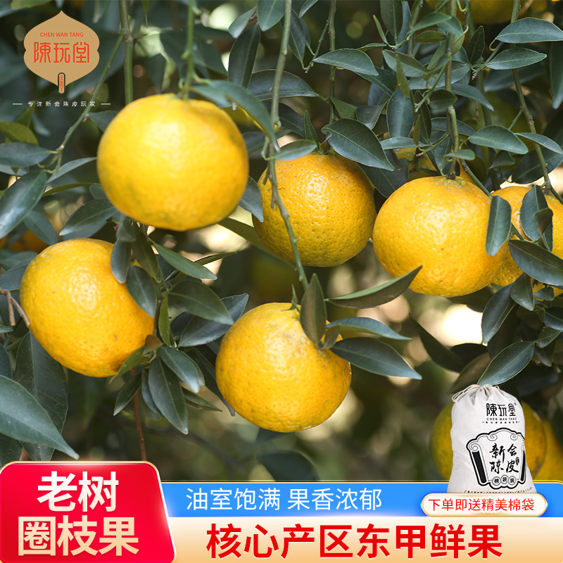 东甲圈枝新会小青柑鲜果现摘现发