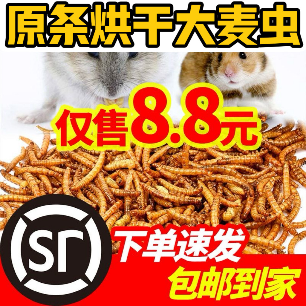 大麦虫干面包虫干龙鱼鱼食饲料金银龙鱼罗汉鱼锦鲤地图热带鱼龟粮