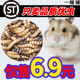 大麦虫顺风活面包虫鸟食鼠乌龟粮八哥仓鼠金龙鱼蜥蜴画眉宠物广东