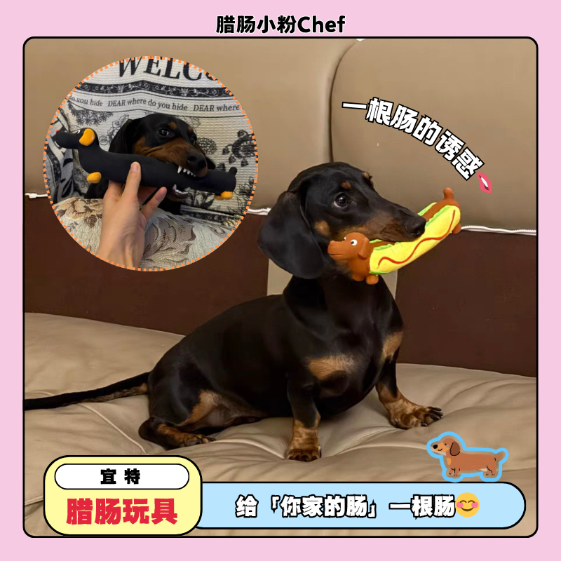 【一根肠】宜特宠物狗狗发声玩具解闷神器磨牙防拆家腊肠比格玩具