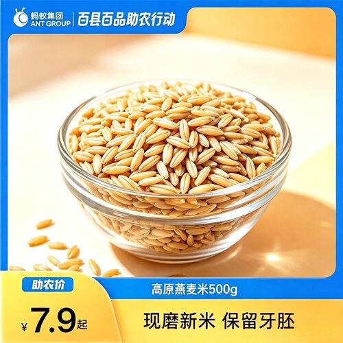 内蒙古杂粮燕麦米健康现磨新米500g营养粗粮主食五谷杂粮早餐米