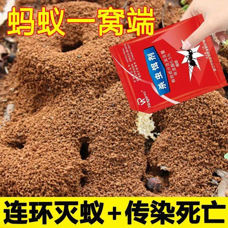 杀蚂蚁药家用全窝端户外室内一锅端粉呋虫胺灭除白蚁红火蚁小马蚁