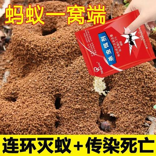 杀蚂蚁药家用全窝端户外室内一锅端粉呋虫胺灭除白蚁红火蚁小马蚁