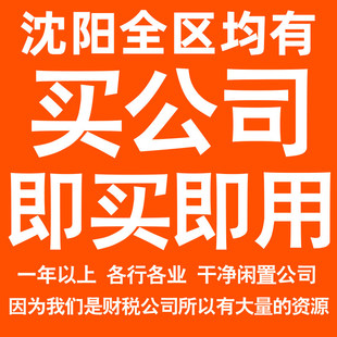 沈阳一年以上信息咨询科技贸易实业劳务派遣公司转让法人股权变更