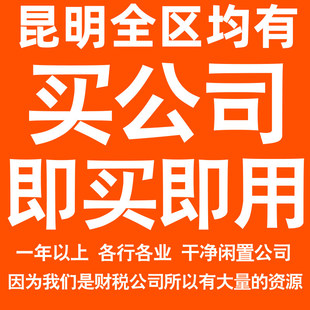 昆明一年以上信息咨询科技贸易实业劳务派遣公司转让法人股权变更