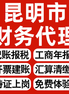 昆明企业代办记账报税公司财税年度汇算清缴代申报个体户逾期异常