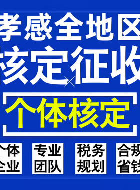 孝感公司个人独资有限合伙企业注册核定征收工作室营业执照代办理