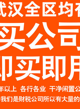 武汉一年以上信息咨询科技贸易实业劳务派遣公司转让法人股权变更