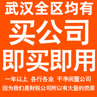 武汉一年以上信息咨询科技贸易实业劳务派遣公司转让法人股权变更