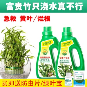 富贵竹营养液肥料专用肥观音竹科养花家用植物花肥水培通用有机肥