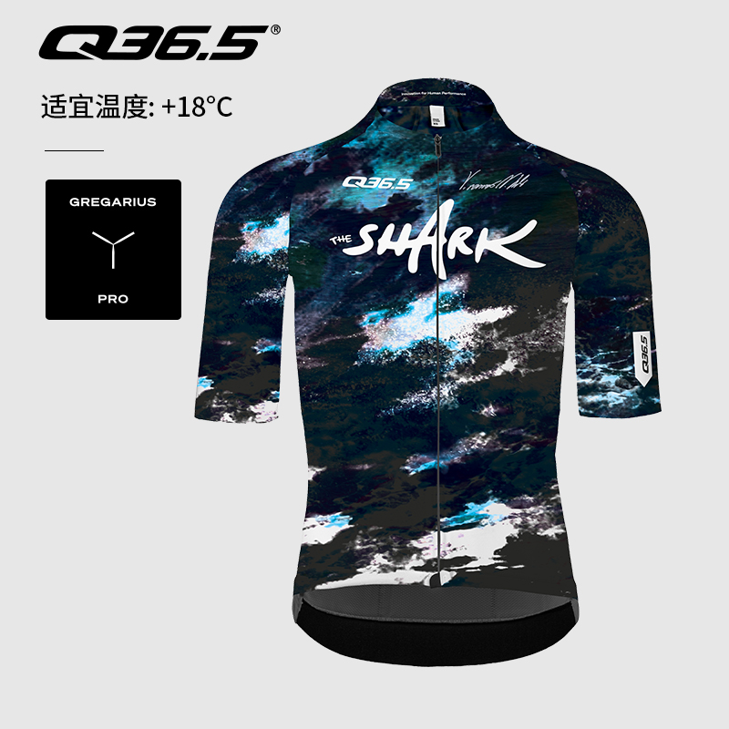 Q36.5短袖骑行服尼巴利鲨鱼