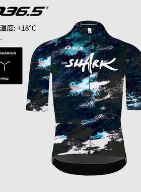 意大利Q36.5骑行服男款夏季短袖上衣尼巴利鲨鱼系列Gregarius Pro