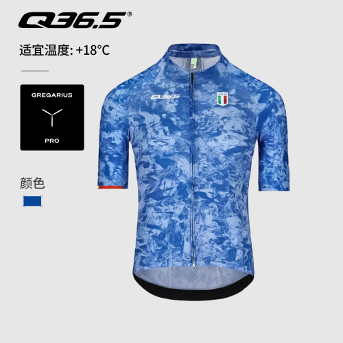 Q36.5骑行服夏季男款短袖