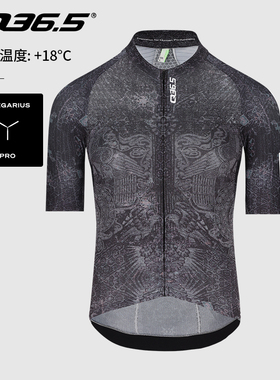 Q36.5骑行服男款夏季插肩预成型紧身Gregarius Pro Damask Jersey