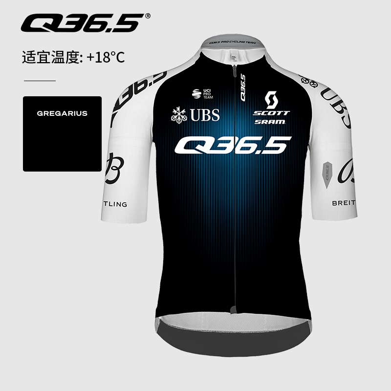 Q36.5骑行服夏季男款车队