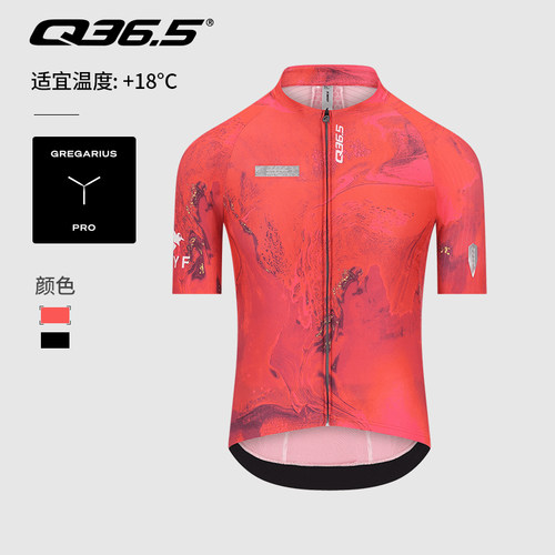 Q36.5骑行服夏季男款短袖上衣Gregarius Pro Ryf Jersey