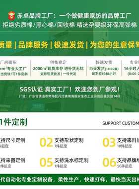 新款直销现代轻奢客厅沙发抱枕含芯50x50床头40靠垫60大靠背70靠