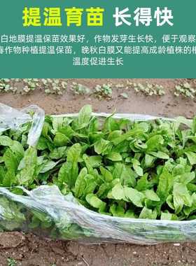 新款直销白色家用多功能晒盖膜地膜保温保湿种植大棚蔬菜果园白地