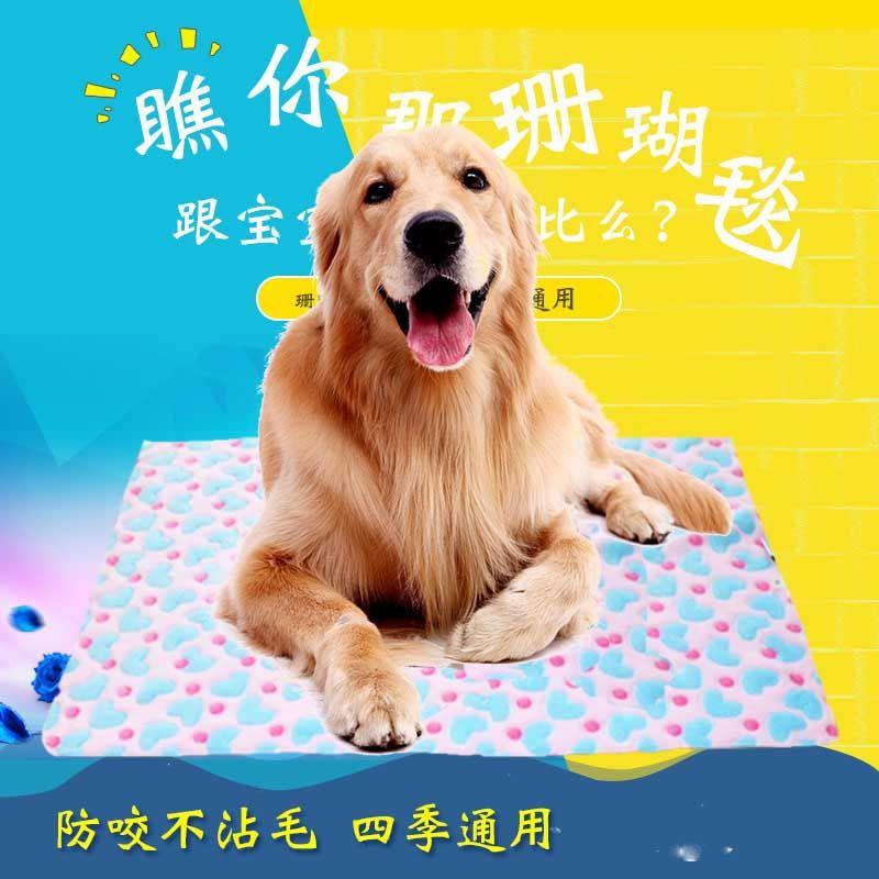 新款直销宠物毛毯夏季薄珊瑚绒毛毯狗狗毛毯猫咪毯子绒四季透气毯