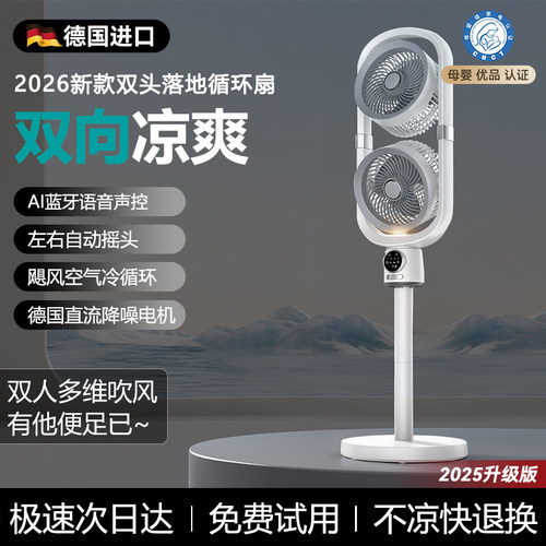 德国正品丨室内双头双人送风神器