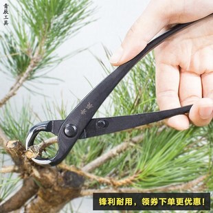 盆景工具园艺剪刀树枝修剪专用球节剪I斜口剪破杆叶芽剪套装青辰