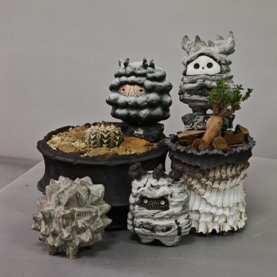 素八九块根植物日式手工块根花盆