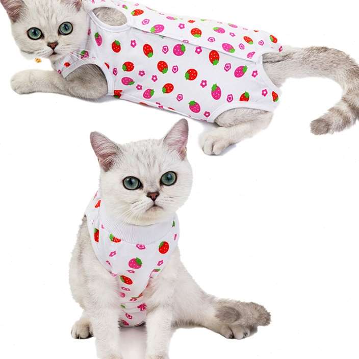 猫咪裤生理绝育服姨妈裤猫咪安全连体衣服宠物护理衣服术后衣服