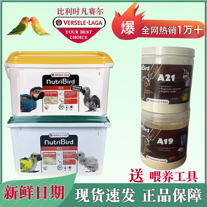 比利时凡赛尔A21低脂鹦鹉幼鸟奶粉进口250克半斤拆分散装送喂奶勺图片