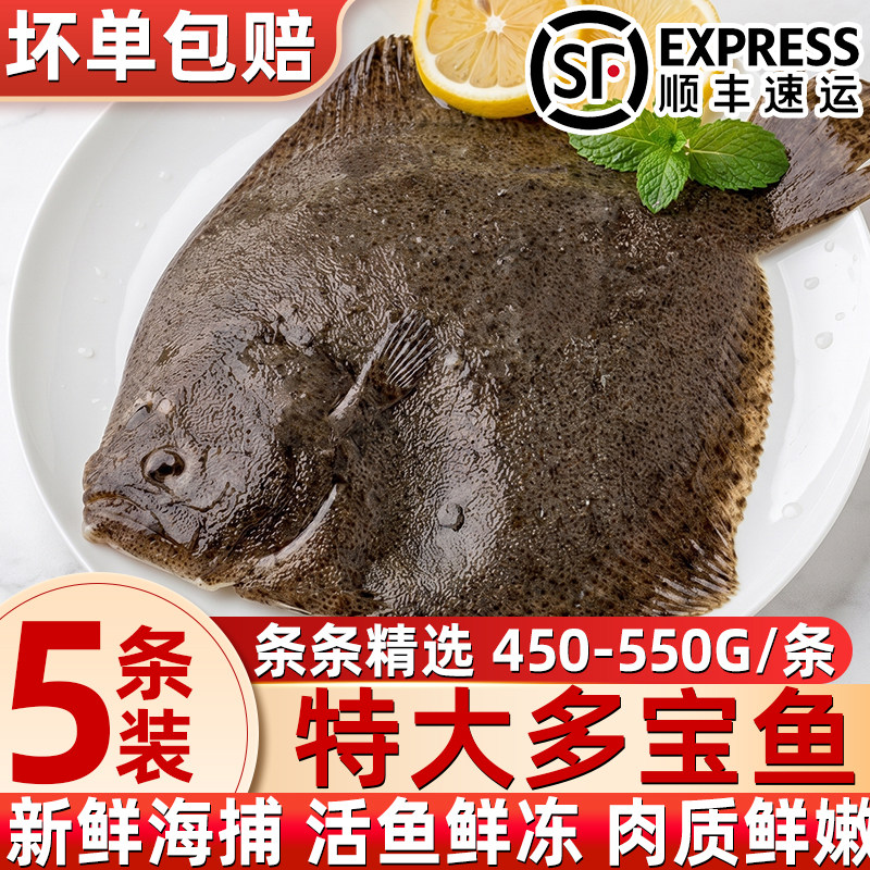 鲜活速冻特大多宝鱼比目鱼