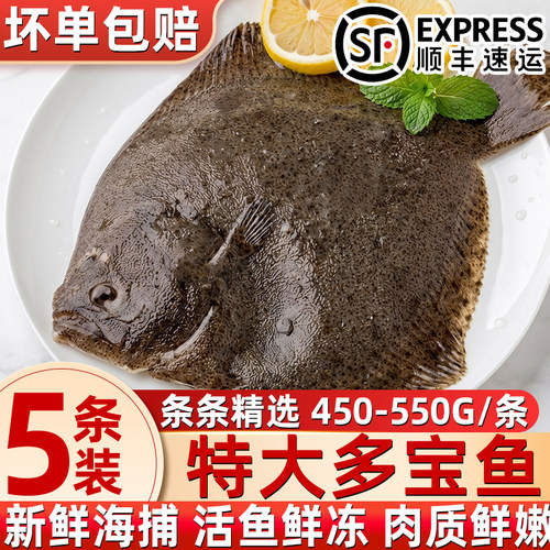 鲜活速冻特大多宝鱼比目鱼