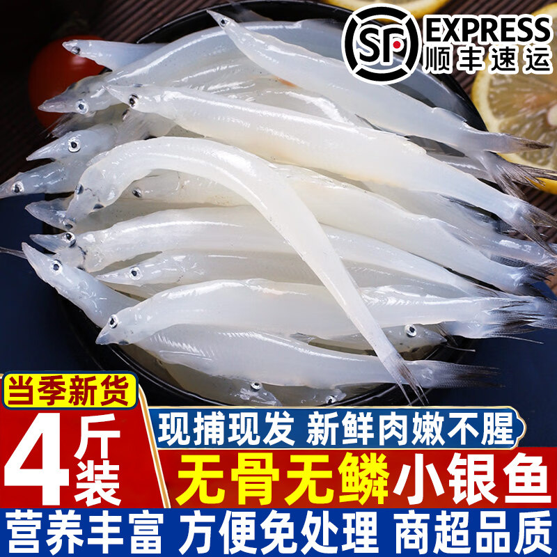新鲜银鱼冷冻淡水大号银鱼正宗无骨无刺面条鱼新鲜速冻银鱼小银鱼