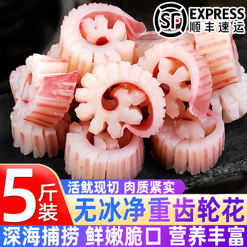 齿轮花鱿鱼冷冻火锅烧烤