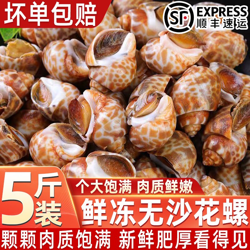鲜活速冻花螺商用批发