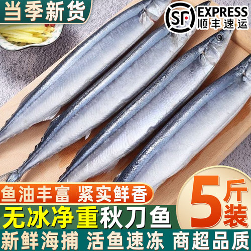野生深海秋刀鱼新鲜冷冻